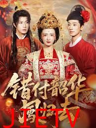 错付韶华凤归去（凤起青萍末）