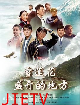 雪莲花盛开的地方