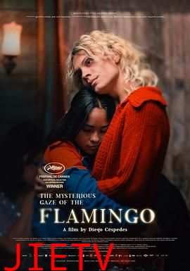 弗拉明戈的神秘眼神