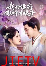 我的侯府傲娇才娘子