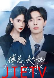 傅总，夫人她真不是凡人