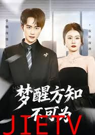 梦醒方知不可为