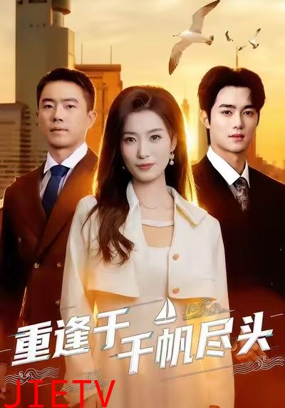 重逢于千帆尽头
