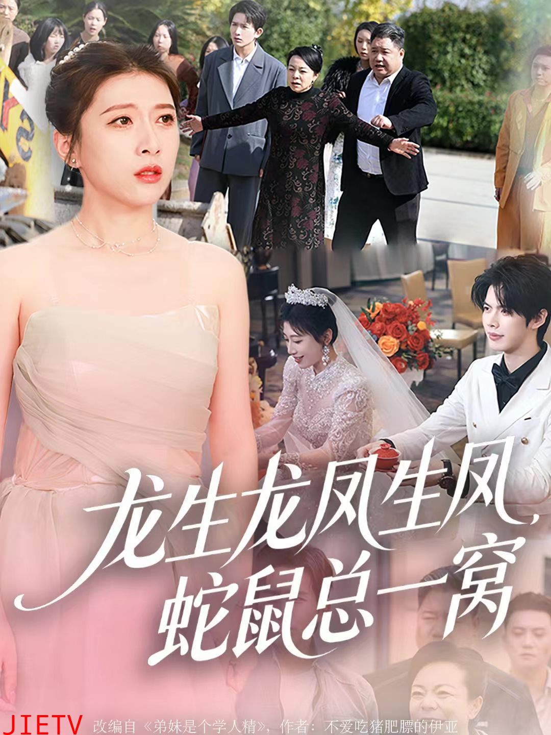 龙生龙凤生凤，蛇鼠总一窝