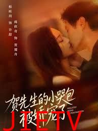 贺先生的小哭包被娇宠了