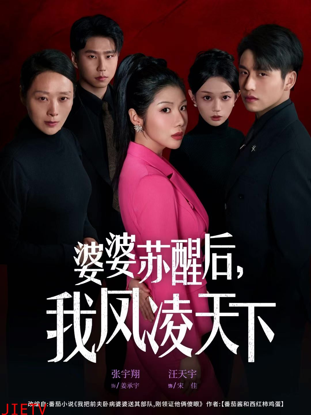 婆婆苏醒后，我凤凌天下