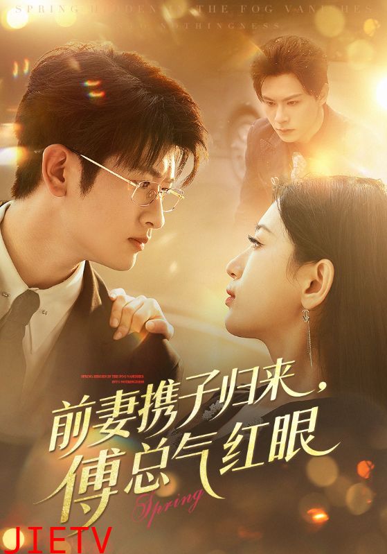 前妻携子归来傅总气红眼