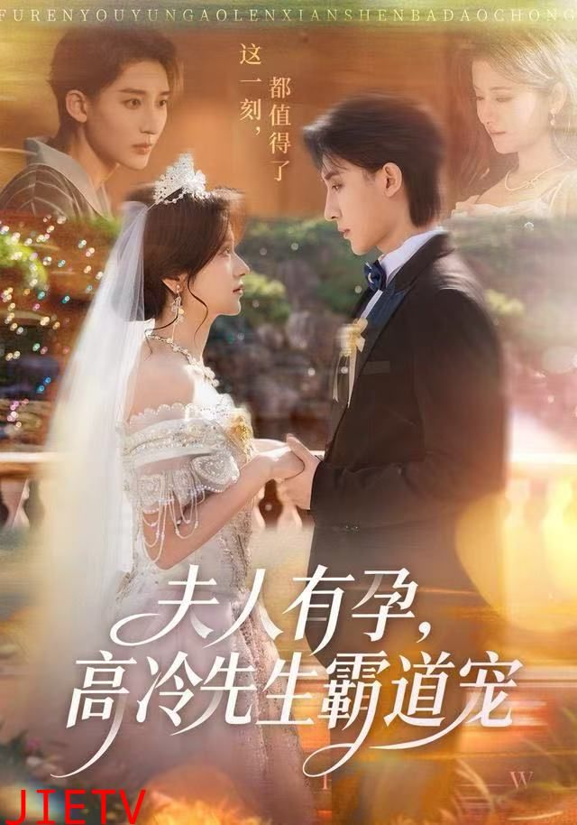 夫人有孕，高冷先生霸道宠