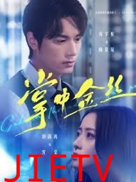 掌中金丝（长姐她竟是隐藏大佬）