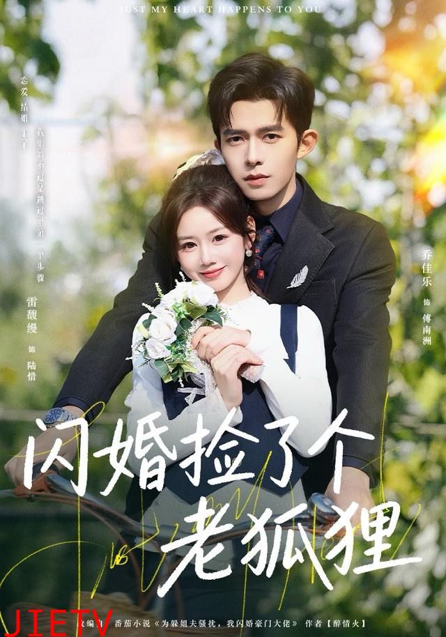 闪婚捡了个老狐狸