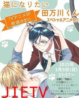 想变成猫的田万川君