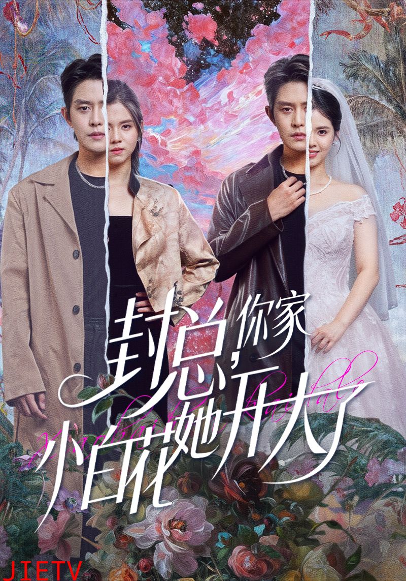 封总，你家小白花她开大了