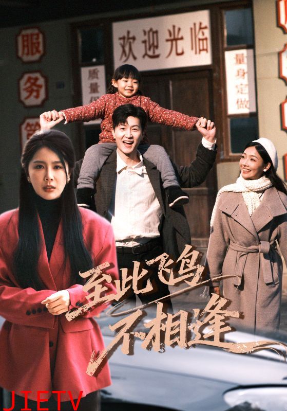 至此飞鸟不相逢