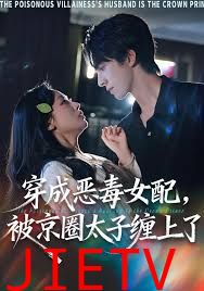 穿成恶毒女配被京圈太子缠上了