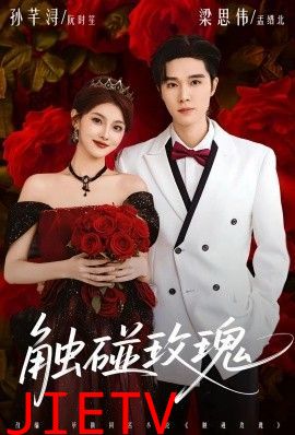 触碰玫瑰（凌晨四点半，玫瑰花未眠）