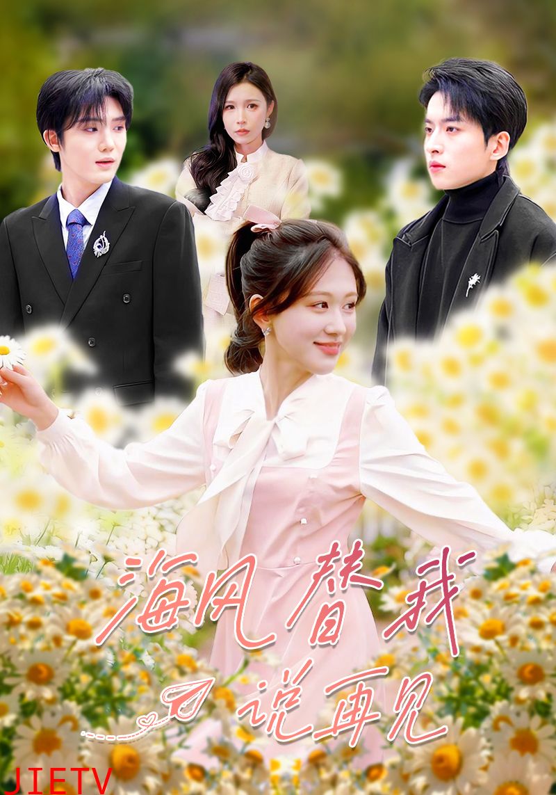 海风替我说再见