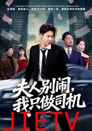 夫人别闹我只做司机