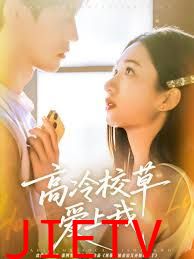 高冷校草爱上我