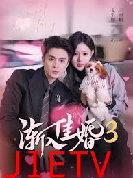 渐入佳婚3第三部
