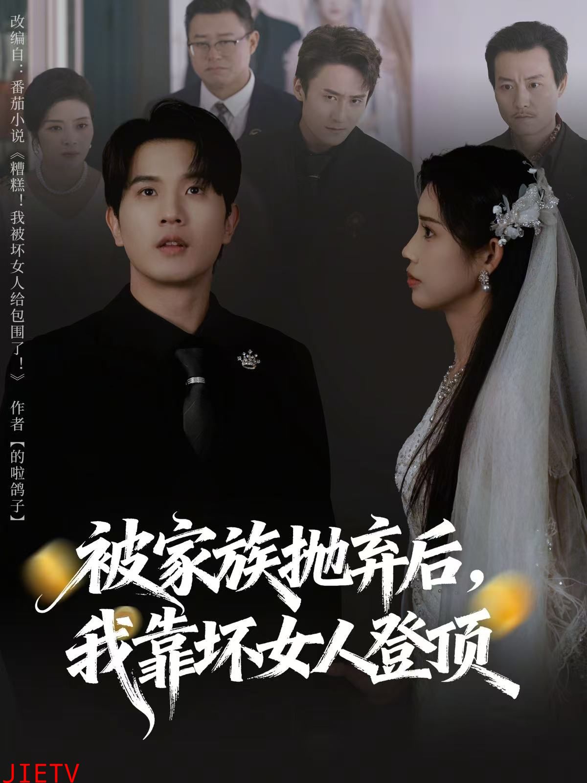 被家族抛弃后，我靠坏女人登顶