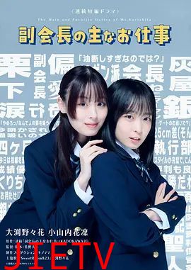 副会长的主要工作