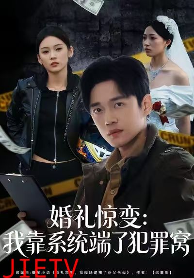 婚礼惊变：我靠系统端了犯罪窝