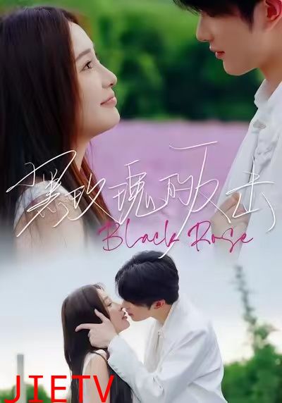 黑玫瑰的反击