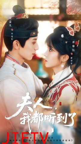 夫人，我都听到了，夫人每天都想被休