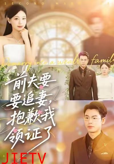 前夫要追妻，抱歉我领证了