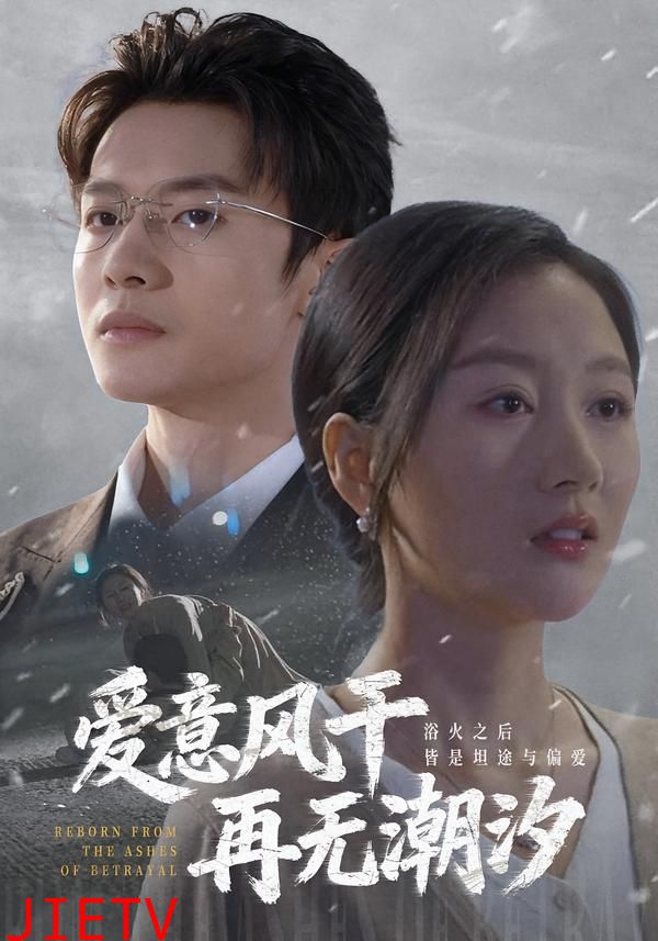 爱意风干再无潮汐