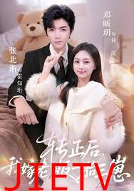 转正后我嫁老板一胎三崽