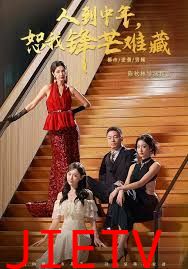 人到中年，恕我锋芒难藏