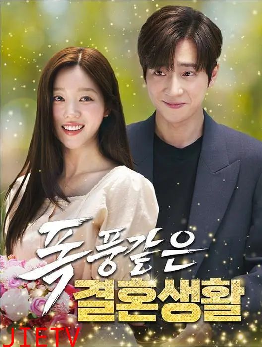 以爱为契（2025）