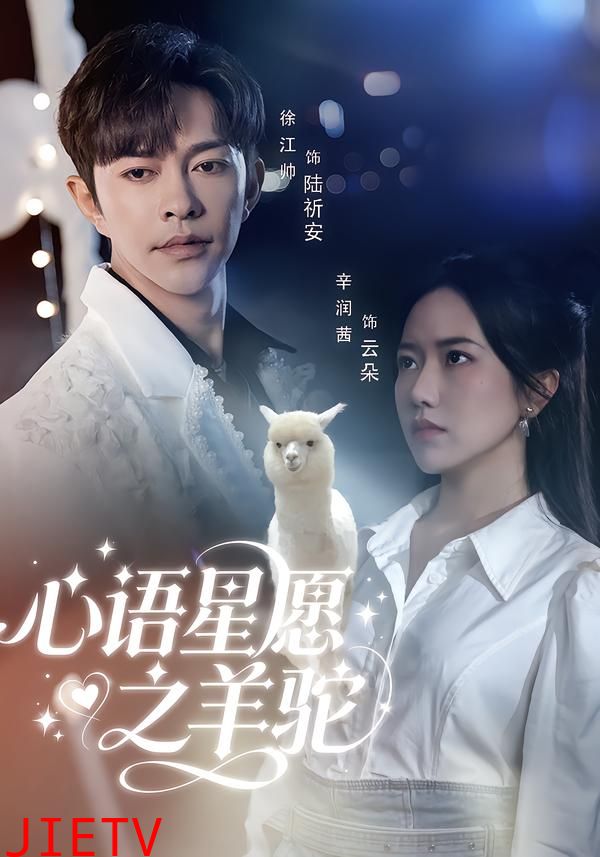 心语星愿之羊驼