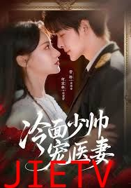 冷面少帅宠医妻