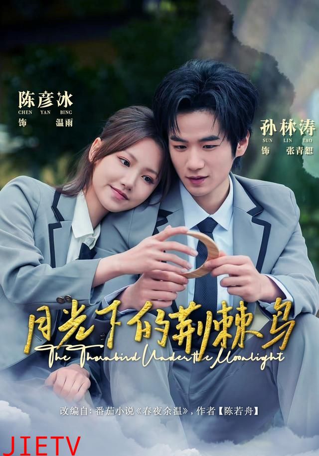 月光下的荆棘鸟