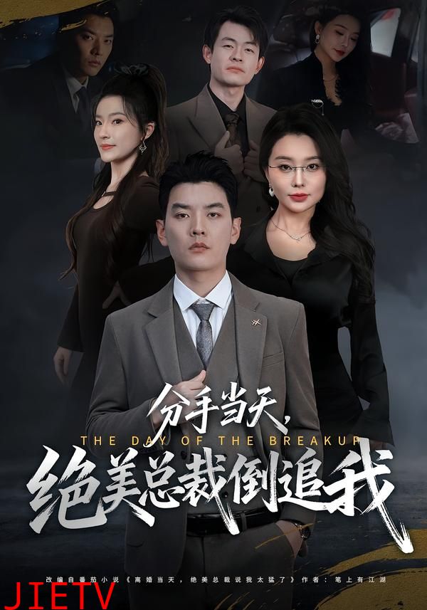 分手当天，绝美总裁倒追我