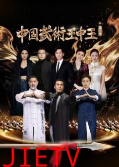 中国武术王中王第二季