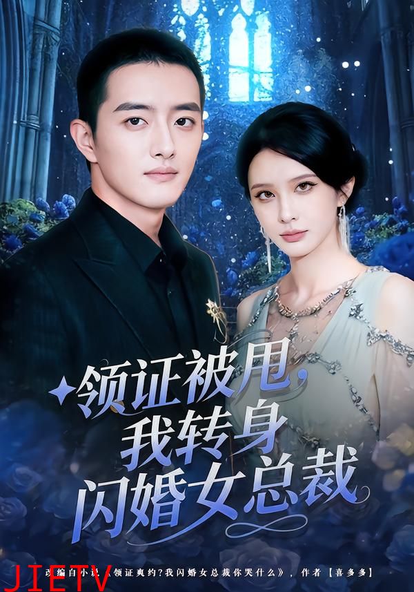 领证被甩，我转身闪婚女总裁