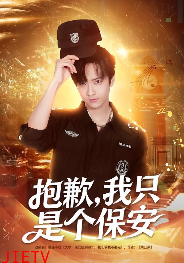 抱歉，我只是个保安