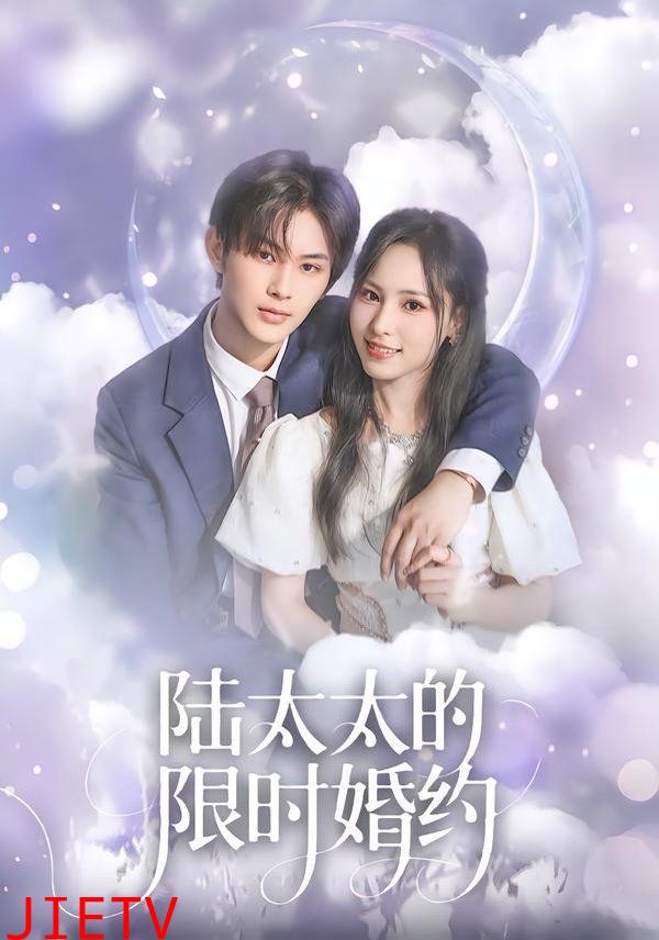 陆太太的限时婚约