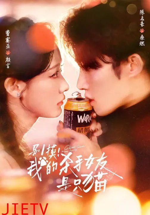 别摸我的杀手女友是只猫