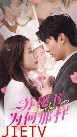 苏秘书为何那样