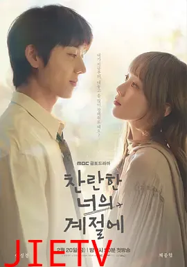 在你的灿烂季节