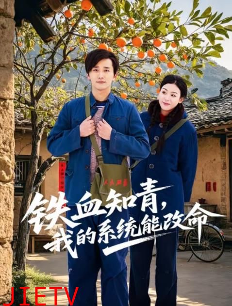 铁血知青，我的系统能改命