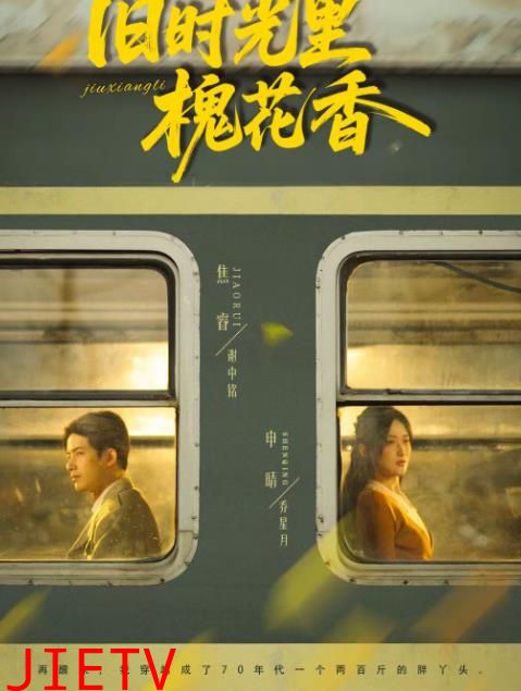 旧时光里槐花香