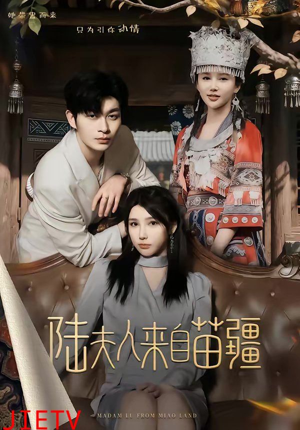 陆夫人来自苗疆