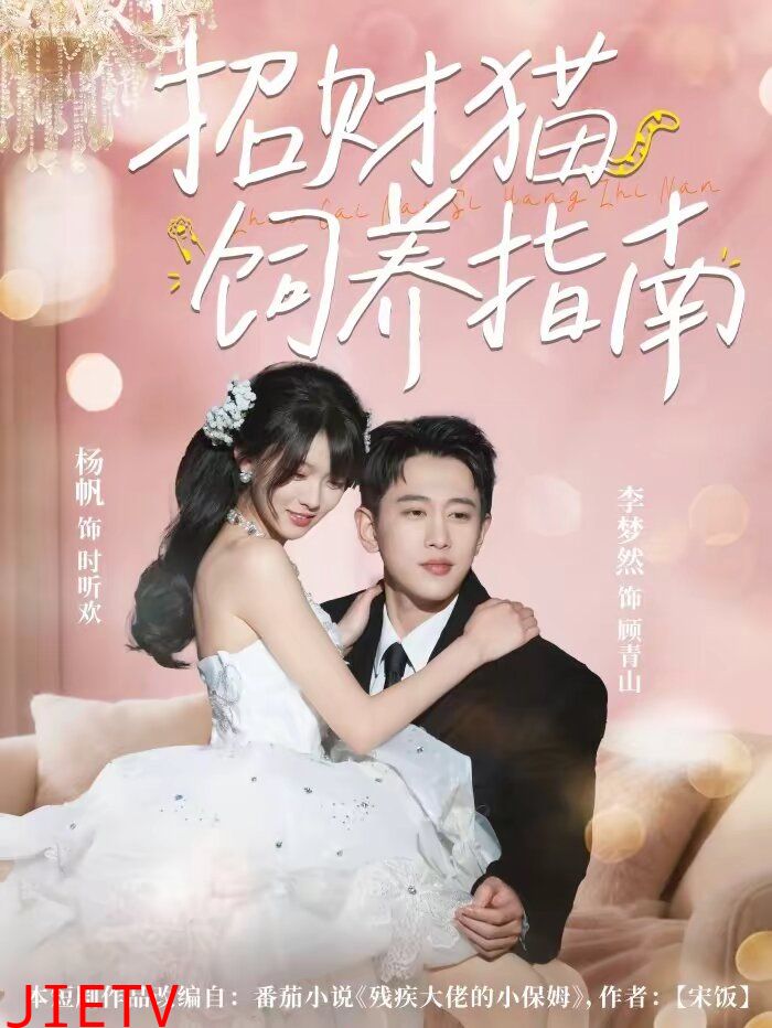 招财猫饲养指南