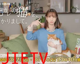 我收留了前男友的猫