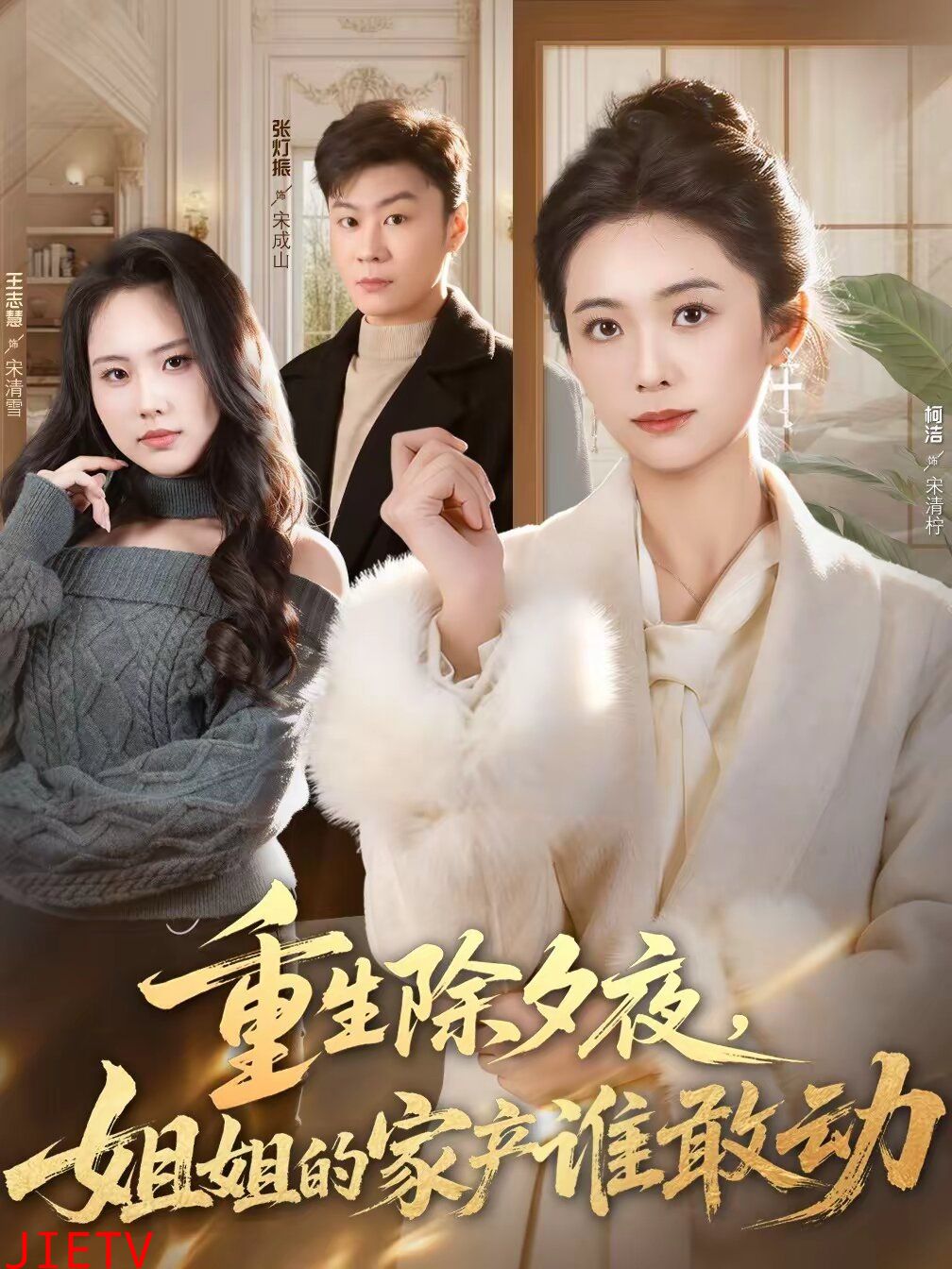 重生除夕夜，姐姐的家产谁敢动